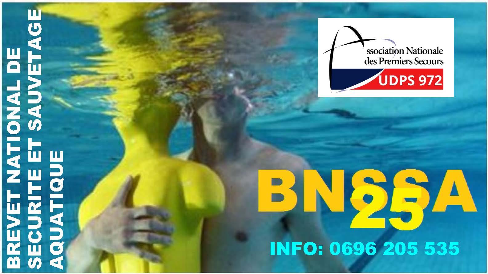 Bnssa 2025